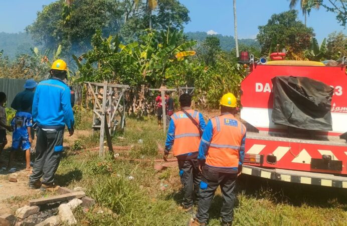 Sijago Merah Lahap Kawasan Sanoba Bawa Nabire, Tidak Ada Korban Jiwa